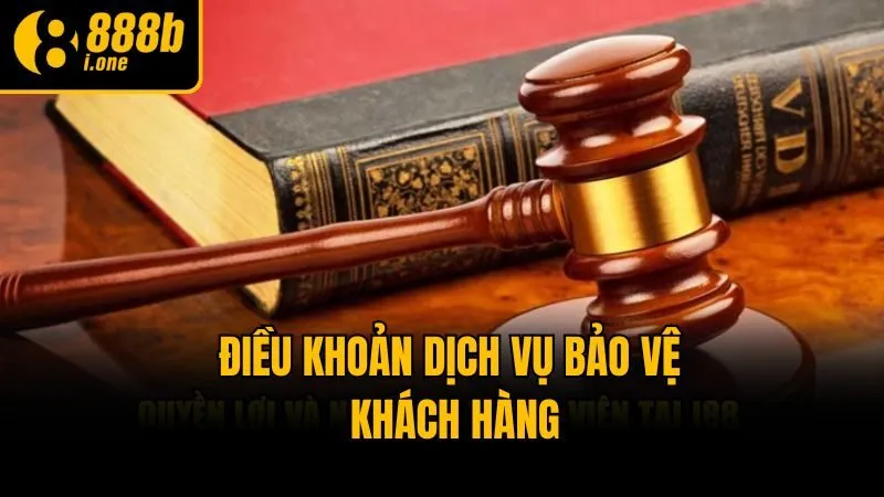 Điều khoản dịch vụ bảo vệ khách hàng